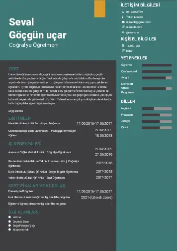 Coğrafya Öğretmeni CV Örnekleri cv indir